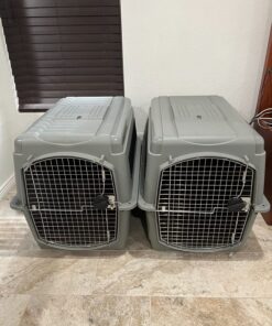 Petmate Sky Kennel, 36 Inch, IATA Compliant Dog Crate for Pets 50-70lbs, Made in USA Kennel Only 56 81pxQRhCgCL