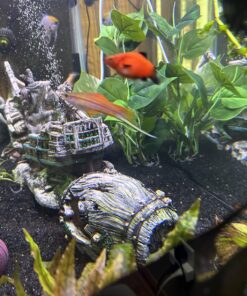 CNZ® Aquarium Fish Tank Green Lifelike Underwater Plastic Plant Aquatic Water Grass Decor (Large, 13-inch) Large, 13-inch 23 81q3tcbrJgL