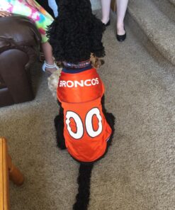 NFL Denver Broncos Dog Jersey, Size: X-Large. Best Football Jersey Costume for Dogs & Cats. Licensed Jersey Shirt 33 81q4ZXsE8yL