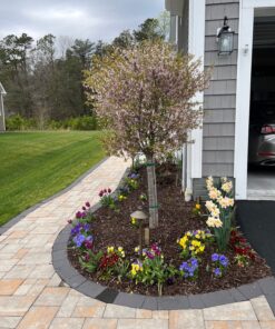 Jobe’s, 01660, Fertilizer Spikes, Tree & Shrubs, Includes 15 Spikes, 12 ounces, Brown 36 81q5BOURzlL