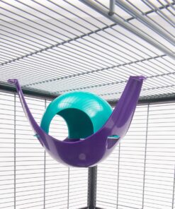 Lixit Critter Space Pod Hideaway Home for Guinea Pigs, Rats, Mice, Hamsters, Gerbils and Other Small Animals (Assorted, Large) Assorted 39 81qDnPCI3GL