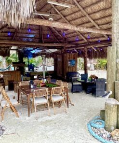 Wondercide - EcoTreat Ready-to-Use Outdoor Pest Control Spray with Natural Essential Oils - Mosquito, Ant, Insect Repellent, Treatment, and Killer - Plant-Based - Safe for Pets , Kids - 32 oz 25 81qI0s2QnxL