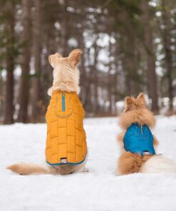 Kurgo Loft Dog Jacket, Reversible Dog Coat, Wear with Harness or Sweater, Water Resistant, Reflective, Winter Coat For Medium Dogs (Coastal Blue, M) Coastal Blue/Orange 34 81qK2UYdJPL