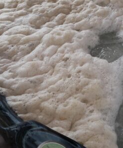 SeaKlear Spa System Flush, 1 Pint Bottle 30 81qKLAKHI9L