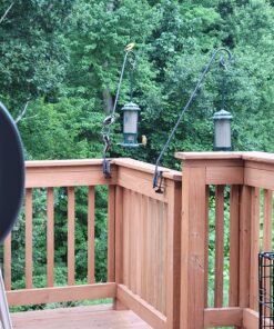 Kaytee Nut and Fruit Blend, 20-Pound 20 Pound (Pack of 1) 22 81qLPvntML