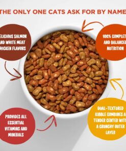 Meow Mix Tender Centers Dry Cat Food, Salmon & Chicken, 13.5 Pound Bag 13.5 Pound (Pack of 1) 24 81qMay5DAqL