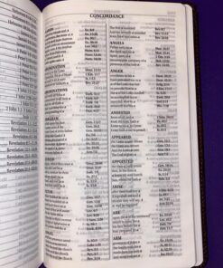 KJV Holy Bible, Giant Print Standard Size Faux Leather Red Letter Edition - Thumb Index & Ribbon Marker, King James Version, Dark Brown 78 81qMlUYcXL