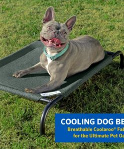 Coolaroo Gale Pacific The Original Cooling Elevated Dog Bed, Indoor and Outdoor, Large, Brunswick Green, 51.00" x 31.50" x 8.00" 51.0"L x 31.5"W x 8.0"Th 26 81qNFRuNbLL 1