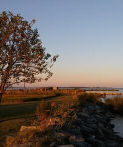 LG Stylo 2 Prepaid Carrier Locked - Retail Packaging (Virgin Mobile) 17 81qTY1V0UcL