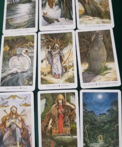 The Wildwood Tarot Deck: Wherein Wisdom Resides (Modern Tarot Library) 87 81qTltAOgeL