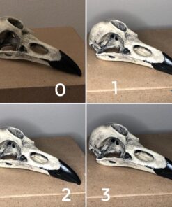 QIAYA Selfie Light Ring Lights LED Circle Light Cell Phone Laptop Camera Photography Video Lighting Clip On Rechargeable 42 81qWH3YrzL