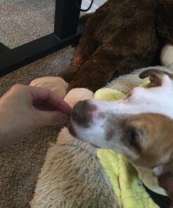 Fruitables Dog Treats Pumpkin & Apple Flavor, 7 oz 7 Ounce (Pack of 1) Pumpkin and Apple 26 81qYDtHjztL