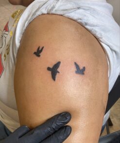 Dragonhawk Traditional Pro Complete Tattoo Kit - Two Machines Gun Easy Use Color Ink Power Supplies Disposable Needles Grips Great for Beginners & Starter Tattoo Aritsts 11-85 63 81qauBwDwEL 1