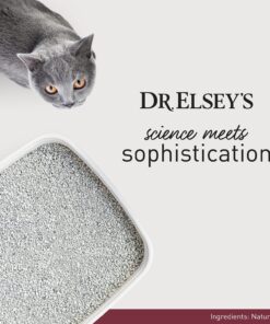 Dr. Elsey's Premium Clumping Cat Litter - Classic - 99.9% Dust-Free, Low Tracking, Hard Clumping, Superior Odor Control, Unscented & Natural Ingredients 18 lb 15 81qcp2P1gAS