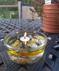 Round Floating Wicks - 50 Count (Approx.), Large Cotton Wicks and Cork Disc Holders for Oil Cups - Bonus Wick Removal Tweezers - by Ner Mitzvah 1 25 81qcq16lJeL