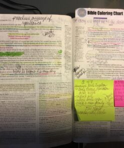 G.T. Luscombe Company, Inc. Accu-Gel Bible-Hi-Glider Bible Study Set | No Bleed Solid Gel Highlighter | No Smearing or Fading | Long Lasting Bright Translucent Colors (Set of 6) 1-Set Set of 6 66 81qeJJs1MEL