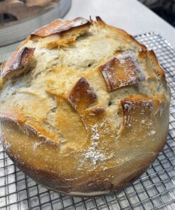 Hoosier Hill Farm Dry Malt (Diastatic) baking Powder 1.5 lb. 47 81qf5D8fdwL