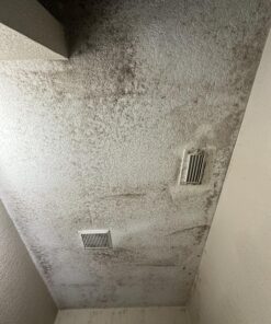 RMR-86 Instant Mold Stain and Mildew Stain Remover Spray - Scrub Free Formula, 32 Fl Oz 32 Fl Oz (Pack of 1) 47 81qgJf9YHaL