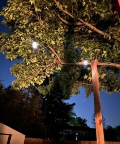 Brightech Ambience Pro Solar Powered Outdoor String Lights, 48 Ft Commercial Grade Waterproof Patio Lights, 15 Edison Bulbs, Shatterproof LED Chirstmas Solar String Lights - 1W LED, Soft White 48 Feet 45 81qh6mPQNzL