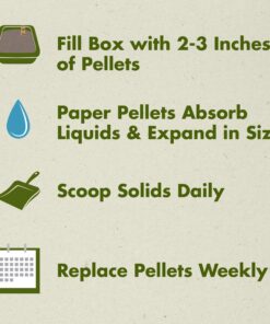 Purina Yesterday's News Non Clumping Paper Cat Litter, Unscented Low Tracking Cat Litter - 30 lb. Bag Original Texture 30 81qkIYXzoZL