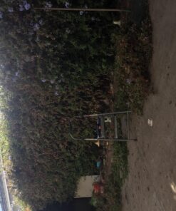 TABOR TOOLS B212A Telescopic Hedge Shears with Wavy Blade and Extendable Steel Handles. Extendable Manual Hedge Clippers for Trimming Borders, Boxwood, and Tall Bushes. B212A Extendable Hedge Shears 36 81qkj6EPPxL