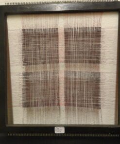 Celestron - 5 MP Digital Microscope Pro - Handheld USB Microscope Compatible with Windows PC and Mac - 20x-200x Magnification - Perfect for Stamp Collecting, Coin Collecting Handheld Digital Microscope Pro 106 81qkscWrK5L