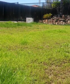 Scotts Turf Builder Grass Seed Bermudagrass, Mix for Full Sun, Built to Stand Up to Heat & Drought, 5 lbs. 5 lb. 99 81qpM DWPL