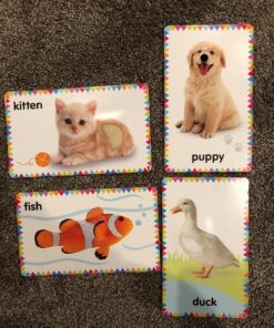 My First Touch and Feel Picture Cards: Animals (My First Board Books) 46 81qqB3RaGL