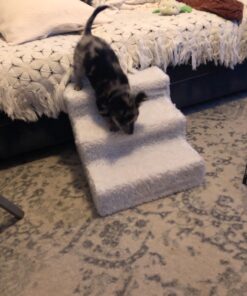 Etna Products JSNY Pet Stairs 3 Steps Stairs, Small Dog/Cat Steps White 39 81qsShCJ70L