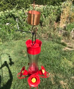 Skinny Ant Moat with Guard for Hummingbird Feeders - Gets Rid of Ants Fast in Nectar Feeder. All Natural & No Chemicals Needed. 36 81qtfBN 4hL