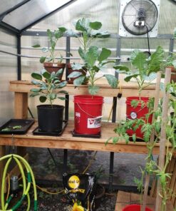 SHURflo Industrial Pump - 198 GPH, 115 Volt, 1/2in., Model# 2088-594-154 Silver 31 81qvObJXMWL