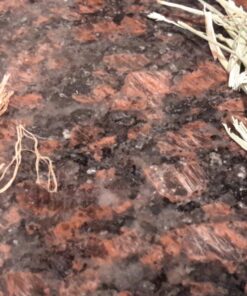 Kaytee All Natural Timothy Hay for Guinea Pigs, Rabbits & Other Small Animals, 6 Pound 6 Pound (Pack of 1) 30 81qwEBDkFL 1