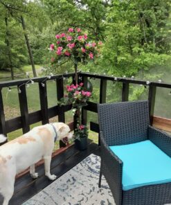 Nearly Natural 5228 Mini Bougainvillea Topiary Beauty, 5-Feet,9" x 9" x 62.5" , Green Plant 37 81qx3eMHJ3L