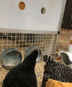 Little Giant® Hangable Poultry Waterer| Galvanized Round Hanging Poultry Waterer | Hanging Chicken Waterer | Chicken Canteen 15 81qxU6PtmL