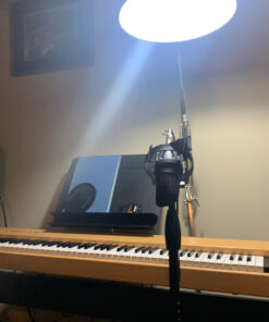 Monoprice XLR Male to 1/4-Inch TRS Male Cable - 10 Feet - Black, 16AWG, Gold Plated - Premier Series 10Ft 14 81qxjmfjFL