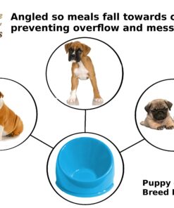Alternative view of Love "N" Creatures - Mess Free Pet Food Dish - Boxer, Bulldog, Pug Puppy Feeding Bowl - Best for Flat Faced Puppies - Slanted Medium Puppy Size, Color Blue