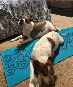 NaturVet Quiet Moments Calming Aid Plus Melatonin 180 Soft Chews 13.9OZ 27 81r31BP WnL