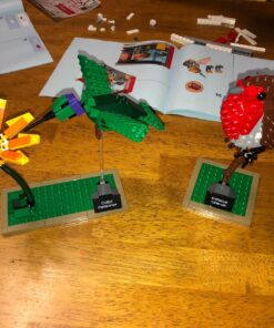 LEGO Ideas 21301 Birds Model Kit 34 81r52x0nPXL