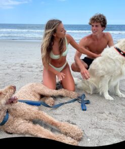 Black Rhino Dog Leash - Heavy Duty - Medium & Large Dogs | 6ft Long Leashes | Two Traffic Padded Comfort Handles for Safety Control Training - Double Handle Reflective Lead - (Aqua) Aqua 30 81r73sldjuL