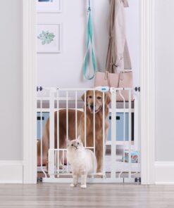 Carlson Extra Wide Walk Through Pet Gate with Small Pet Door, Includes 4-Inch Extension Kit, Pressure Mount Kit and Wall Mount Kit,White 35 81r81c1Vi3L