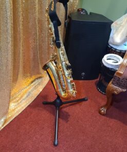 Eastar AS-Ⅱ Student Alto Saxophone E Flat Gold Lacquer Alto Beginner Sax Full Kit With Carrying Sax Case Mouthpiece Straps Reeds Stand Golden 35 81r8OgN4VL