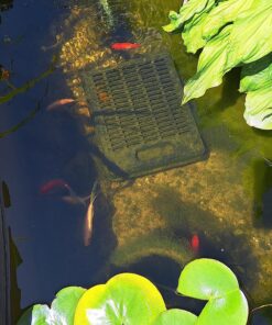 TetraPond Submersible Flat Box Filter, For 250 To 500 Gallon Ponds 34 81r8fR4nz9L