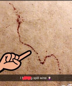 BISSELL Professional Power Shot Oxy Carpet Spot and Stain Remover, 14 ounces, 95C9 38 81r9G4DzruL