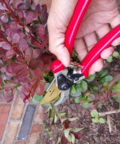 Haus & Garten ClassicPRO 8.5" Bypass Pruning Shears - Premium Garden Shears - Use As Gardening Shears, Garden Clippers, Handheld Heavy-Duty Professional Pruning Shears For Gardening & Pruning Scissors 47 81rGLPda1BL