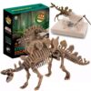 Dig & Discover Dino Stegosaurus Dinosaur Skeleton 3D Fossil Bones Excavation, Science Educational Toy Kit for Kids, Children 18 81rJwC6EzL