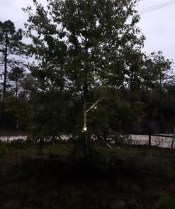 URPOWER Solar Lights Outdoor, Adjustable Solar Spot Lights Outdoor, 2-in-1 Waterproof Solar Landscape Spotlights Wall Light, Dusk-to-Dawn Solar Powered Outdoor Light for Garden, Yard, Pathway (2 Pack) 2 Pack Cool White 60 81rMYw1IG7L