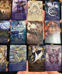 Spirit of the Animals Oracle 78 81rNC9HlrNL