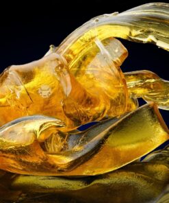 Oshiro 60mm f/2.8 2:1 LD UNC Manual Ultra-Macro Lens Compatible with Sony E-Mount a9, a7r, a7s, a7, a6600, a6500, a6400, a6300, a6000, a5100, a5000, a3500, a3000 Mirrorless Cameras (EOS-E) 62 81rOm4rq xL