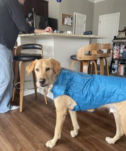 Kurgo Loft Dog Jacket, Reversible Dog Coat, Wear with Harness or Sweater, Water Resistant, Reflective, Winter Coat For Large Dogs (Coastal Blue, XL) Extra Large Coastal Blue/Orange 72 81rPZnOLJBL
