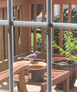 Hampton Farms - USA Grown All-Natural - Fancy Roasted In-Shell Unsalted Peanuts - 5 lb. Bag Basic pack 34 81rPntyeobL